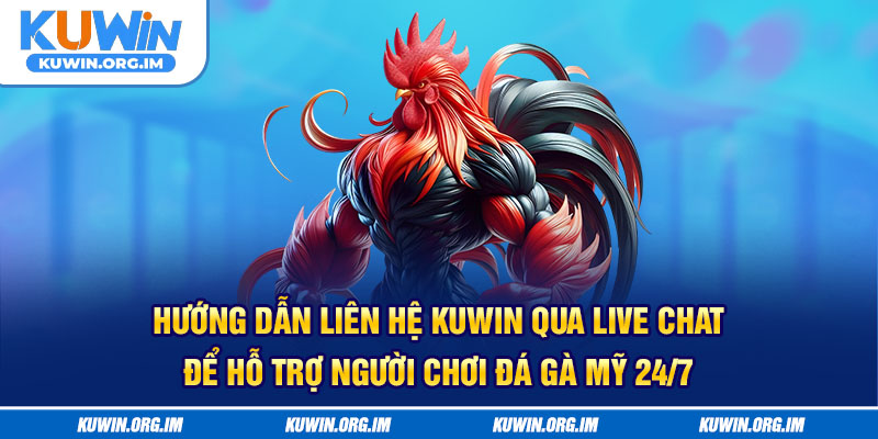 Hướng dẫn liên hệ Kuwin qua live chat để hỗ trợ người chơi đá gà mỹ 24/7