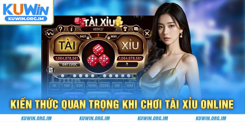 Kiến thức quan trọng khi chơi tài xỉu online